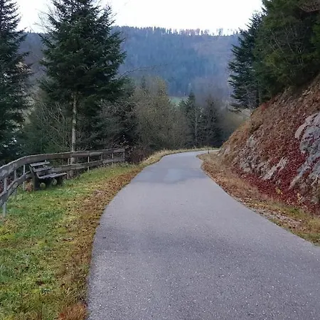Hirschlein Im Schwarzwald * Baiersbronn