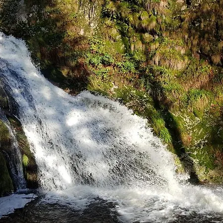 Apartment Hirschlein Im Schwarzwald *