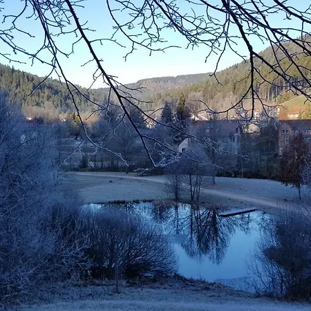 Apartment Hirschlein Im Schwarzwald *