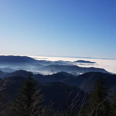 Hirschlein Im Schwarzwald * Baiersbronn