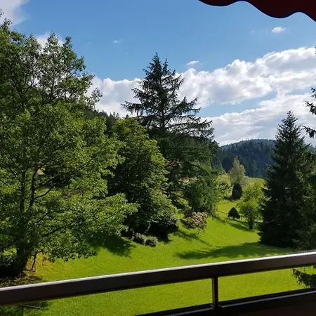 Hirschlein Im Schwarzwald *