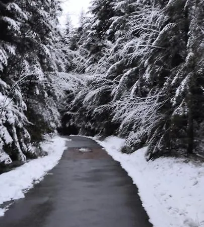 Hirschlein Im Schwarzwald Apartment *