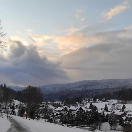 Hirschlein Im Schwarzwald *