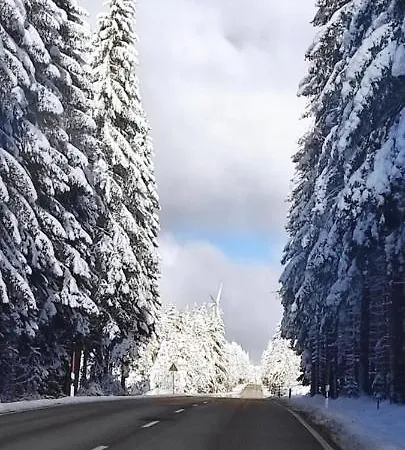 Apartment Hirschlein Im Schwarzwald
