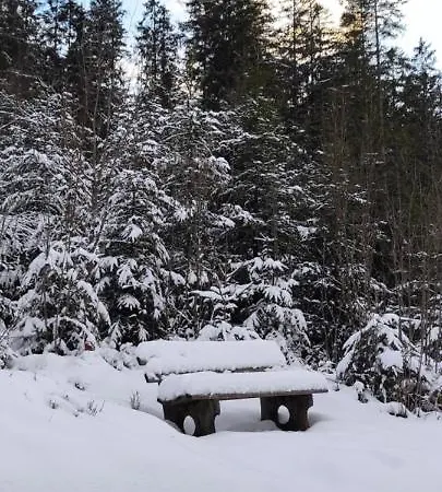 Hirschlein Im Schwarzwald Apartment Baiersbronn