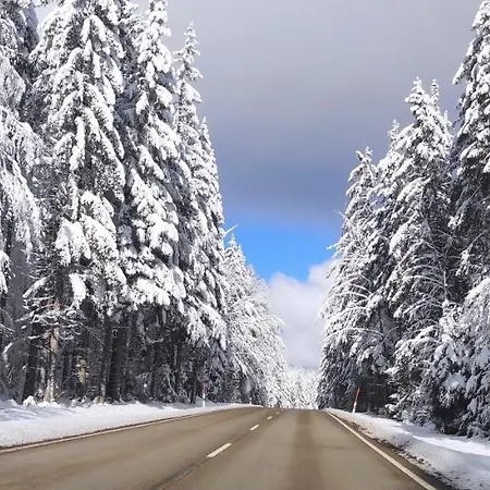 Apartment Hirschlein Im Schwarzwald *