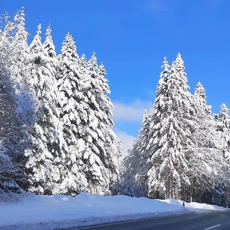 Hirschlein Mit Schwarzwaldblick In Appartamento Baiersbronn