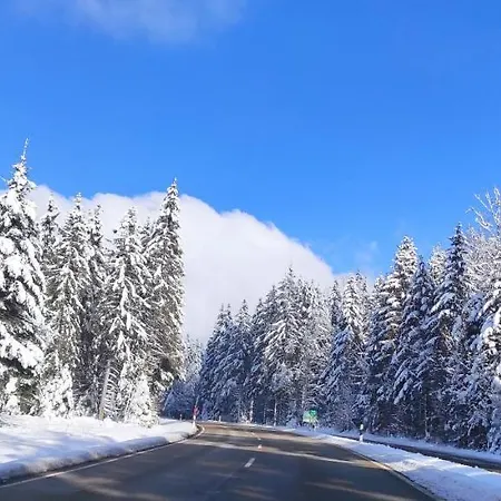 Hirschlein Im Schwarzwald