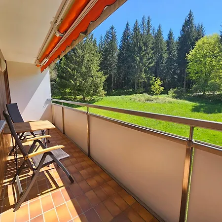 Hirschlein Im Schwarzwald *