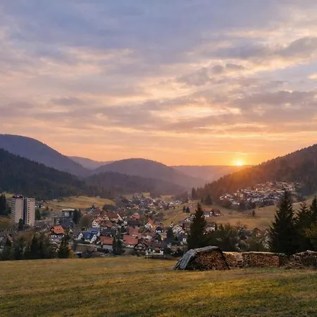 Hirschlein Mit Schwarzwaldblick In