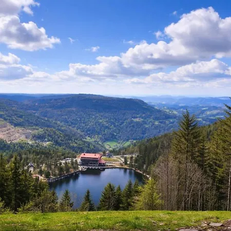 Hirschlein Mit Schwarzwaldblick In *
