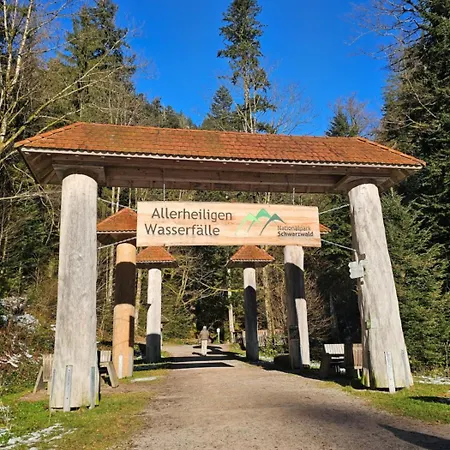 Daire Hirschlein Mit Schwarzwaldblick In
