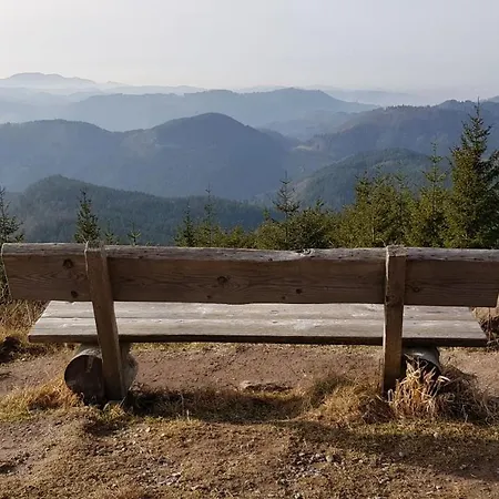 Hirschlein Mit Schwarzwaldblick In *