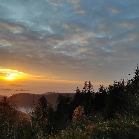 Hirschlein Mit Schwarzwaldblick In Appartamento Baiersbronn