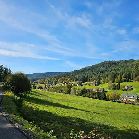 Hirschlein Mit Schwarzwaldblick In Baiersbronn