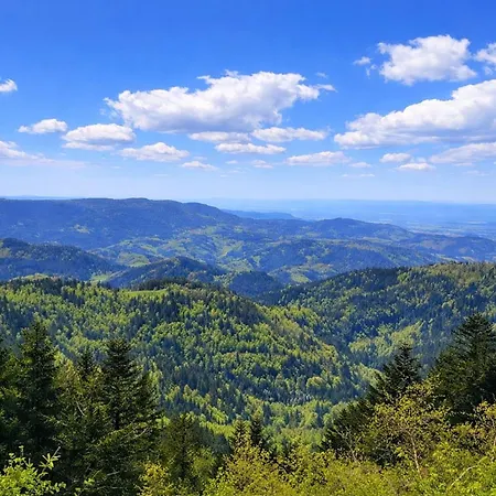 Appartamento Hirschlein Mit Schwarzwaldblick In *
