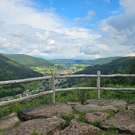 Hirschlein Mit Schwarzwaldblick In Daire Baiersbronn