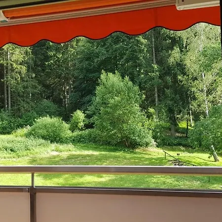 Hirschlein Im Schwarzwald Baiersbronn