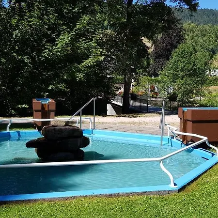 Hirschlein Im Schwarzwald Apartment