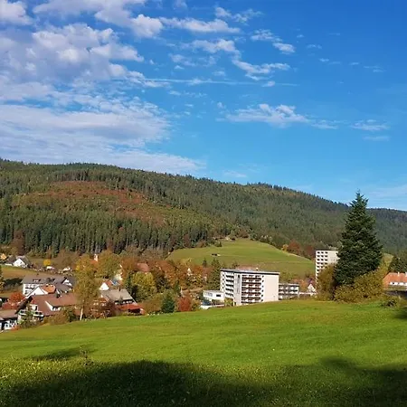 Hirschlein Im Schwarzwald * Baiersbronn