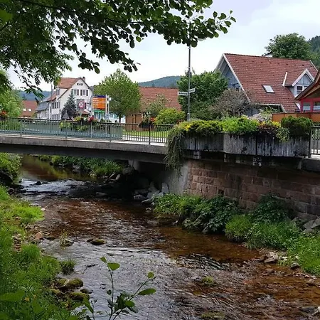 Hirschlein Im Schwarzwald Apartment