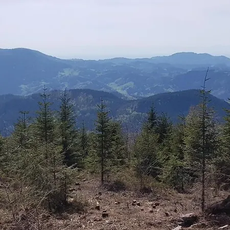 Apartment Hirschlein Im Schwarzwald