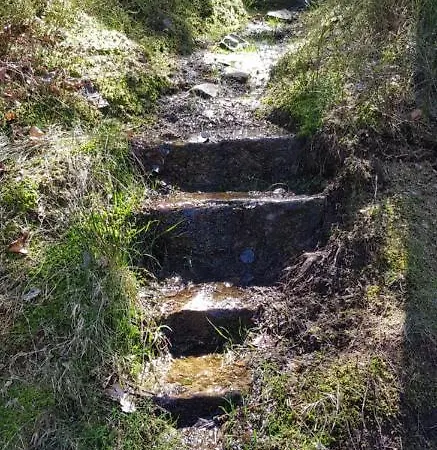 Hirschlein Im Schwarzwald Apartment Baiersbronn